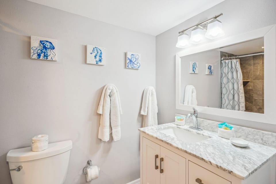 Trillium 1C - Premier Apartment in Madeira Beach