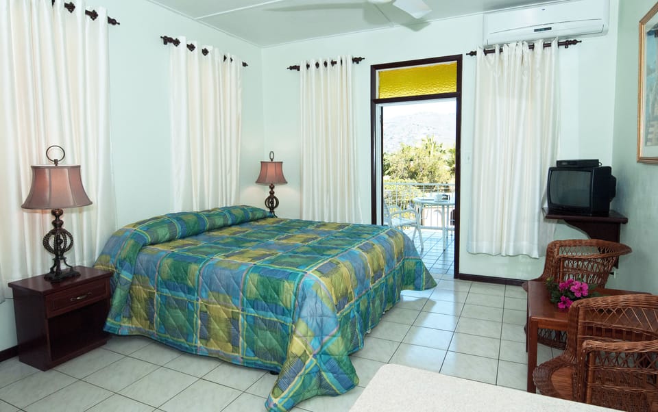 Deluxe Studio, 1 King Bed | Free WiFi
