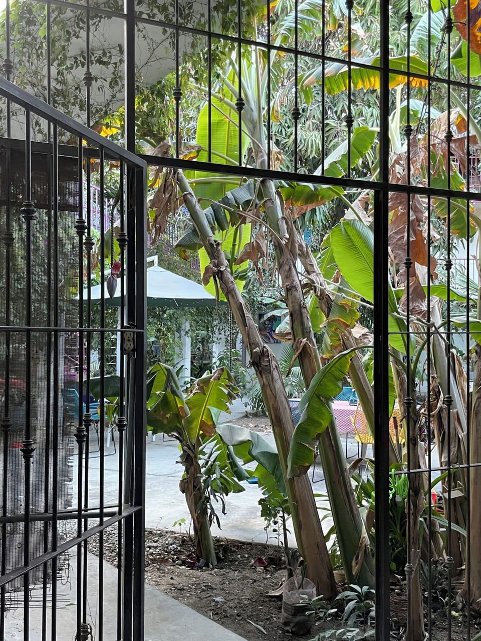 Property grounds