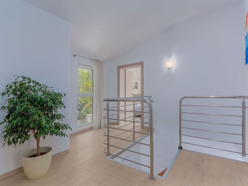 Plant, Window, Wood, Building, Houseplant, Floor, Flooring, Paint, Flowerpot