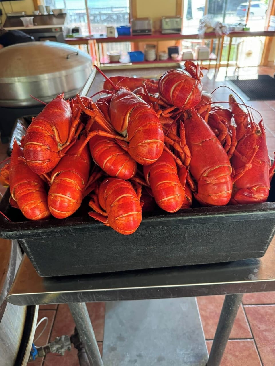 Bar Harbor Lobster Bakes