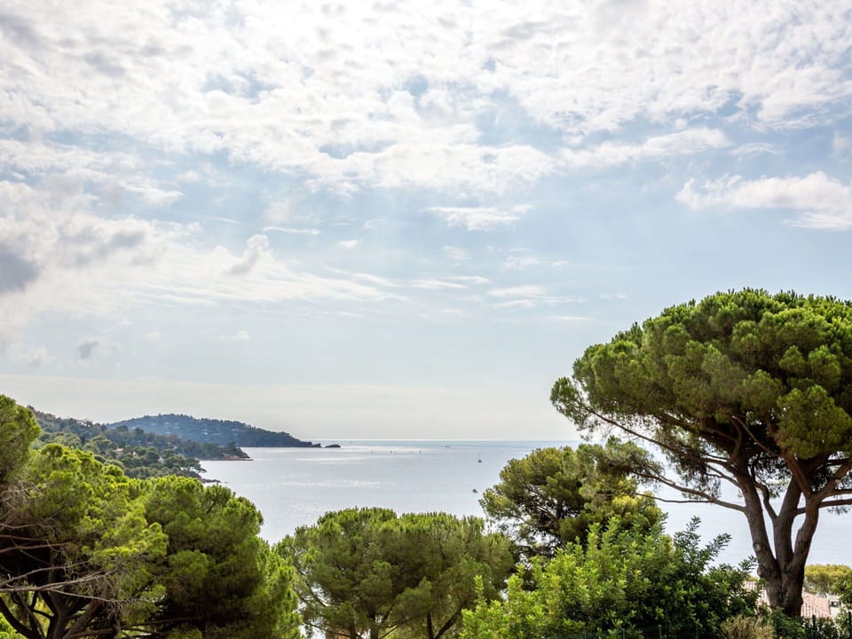 Sky, Plant, Cloud, Street Light, Urban Design, Road Surface, Tree, Building, Landscape, Road
