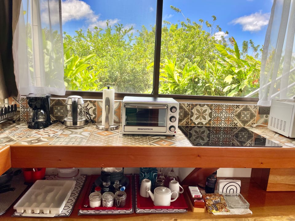 Full-size fridge, dishwasher, coffee/tea maker, electric kettle