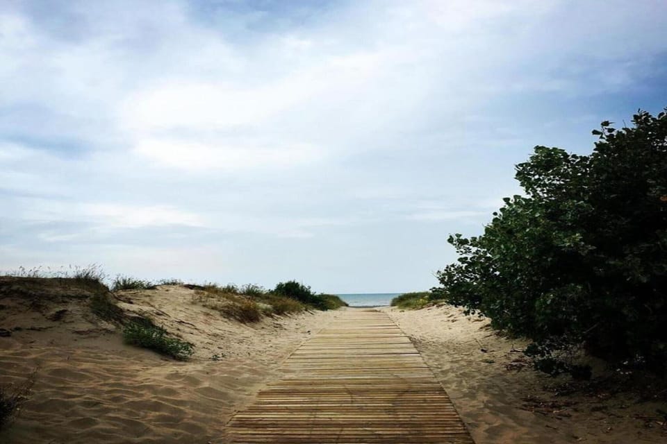 Region [summer] (>5 km)