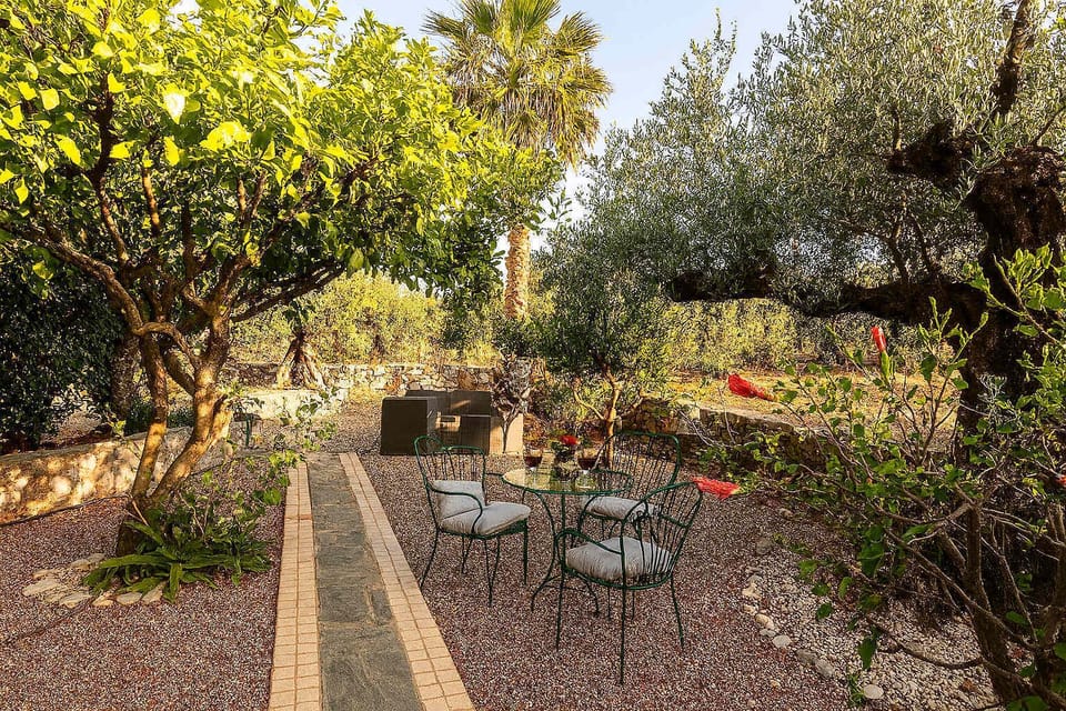 Exterior Garden Sitting Area – Relax beneath the trees surrounded by lush greenery.