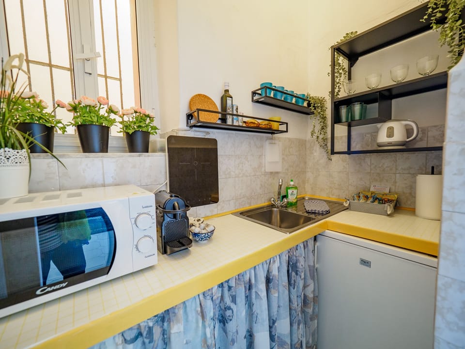 Apartment, 1 Bedroom, Kitchen | Private kitchen | Mini-fridge, espresso maker, electric kettle, paper towels