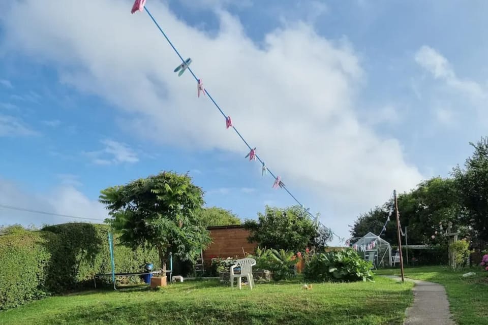 Cabin | Miscellaneous