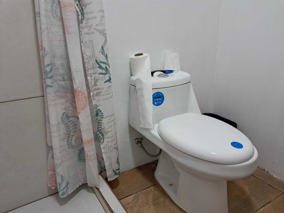 Classic Triple Room | Bathroom | Free toiletries