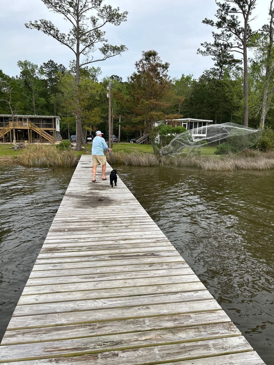 Throw your net! So many mullet but we have caught flounder and trout and bass! 