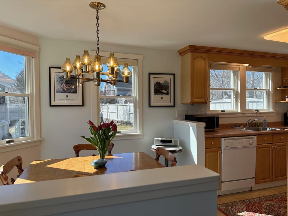 Sunlit Dining Area-