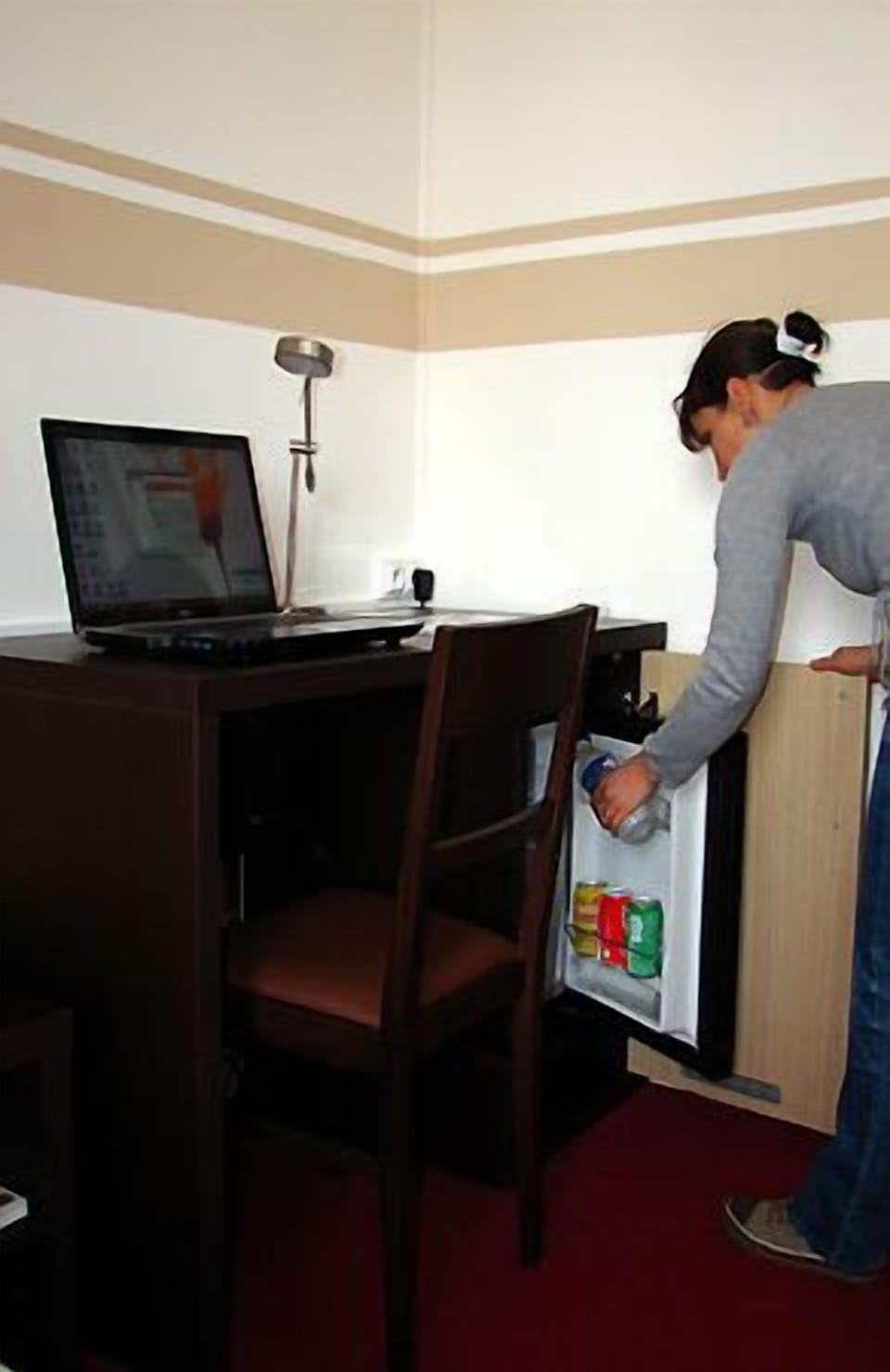 Mini-refrigerator