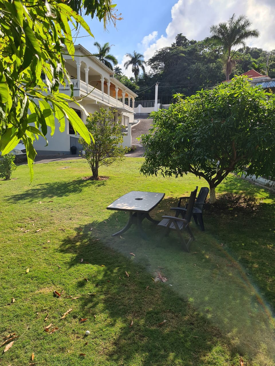 Image 14