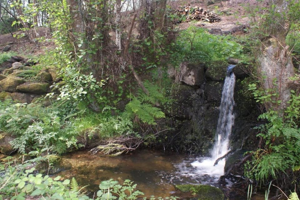 Region [summer] (>5 km)