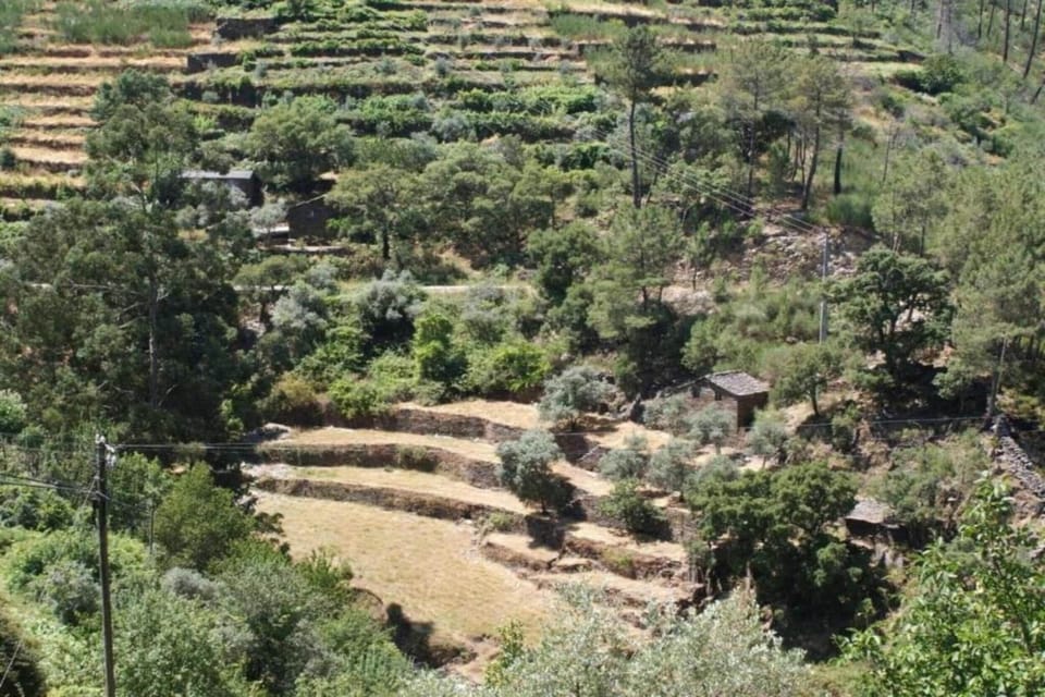 Region [summer] (>5 km)