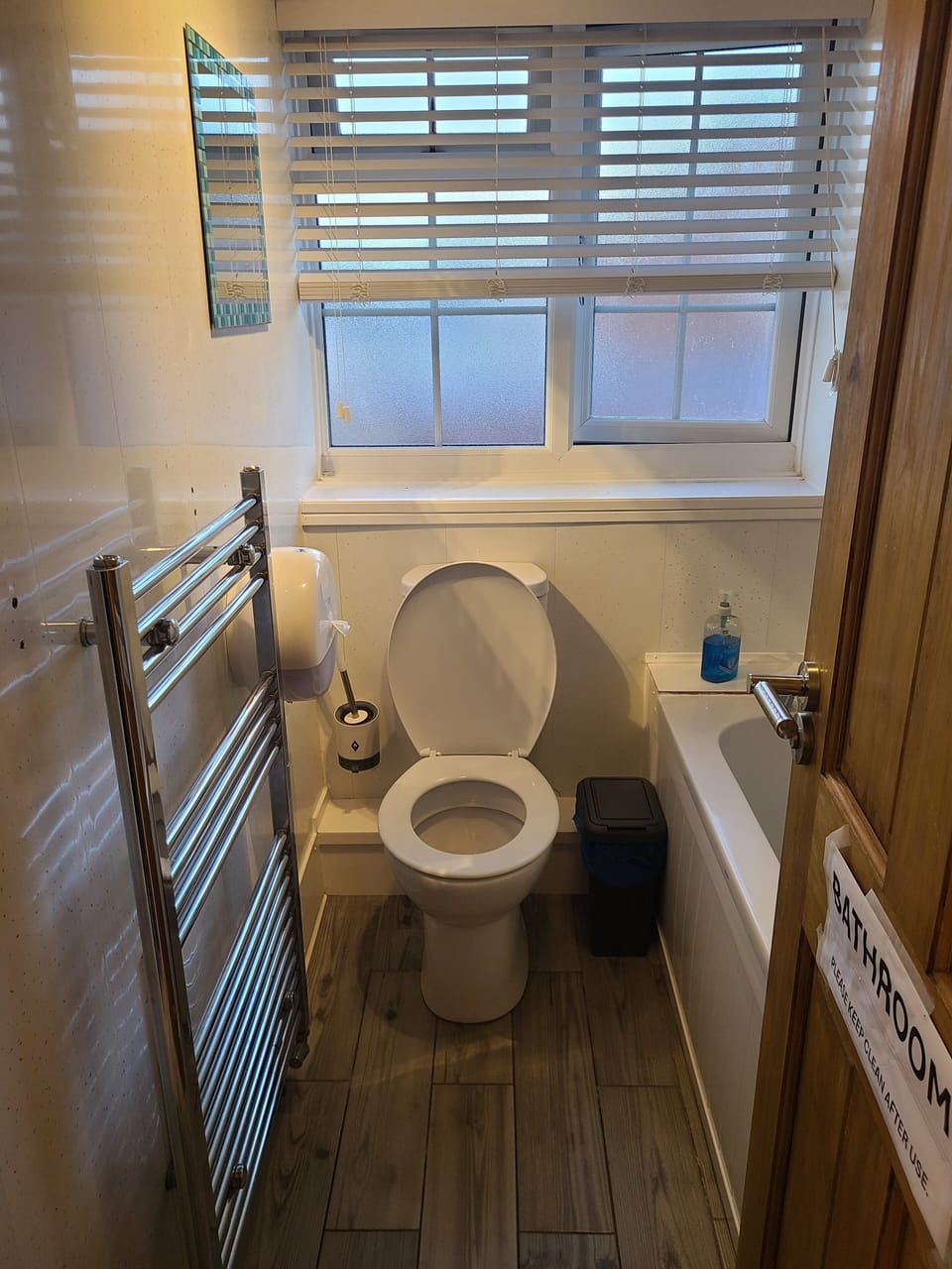 Bathroom plus toilet. Shower on Bath tub.