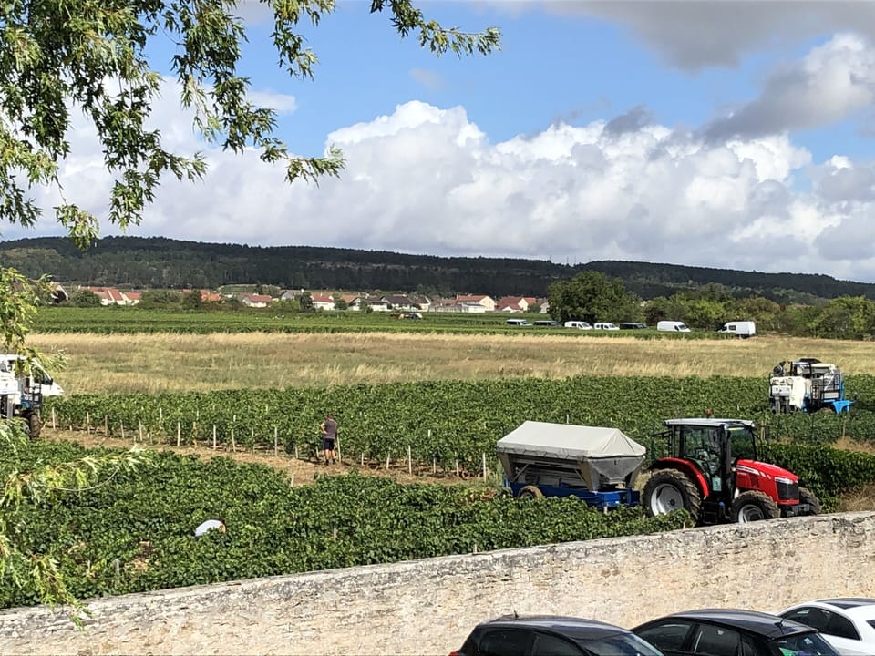 Land view from property