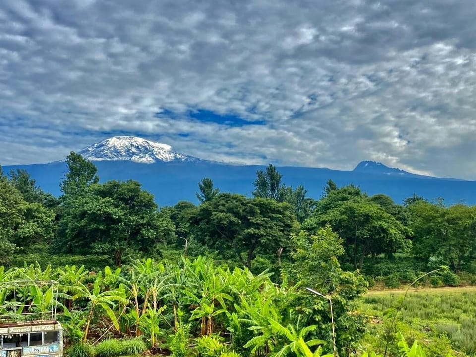 Superior Double Room, 1 Double Bed, Non Smoking, Mountain View | View from room