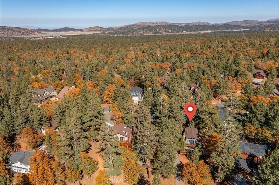 Drone View