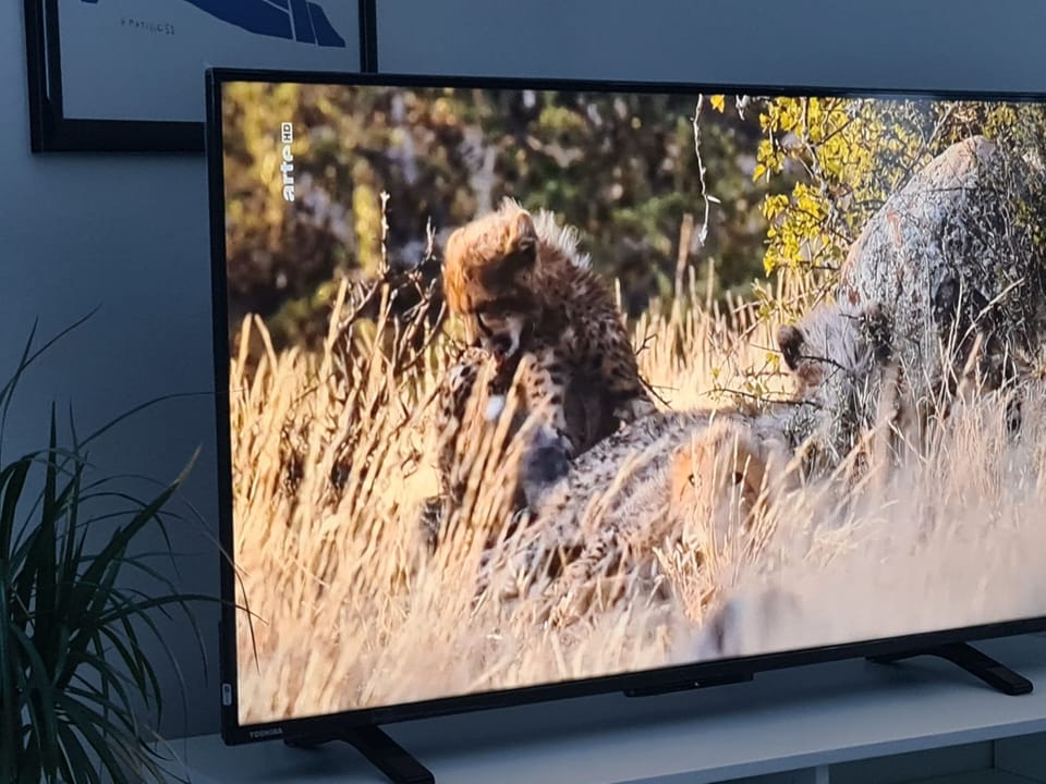 Television