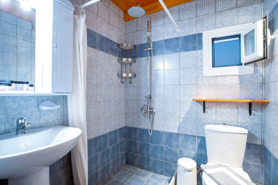 Room, 1 Bedroom, Smoking, Terrace | Bathroom