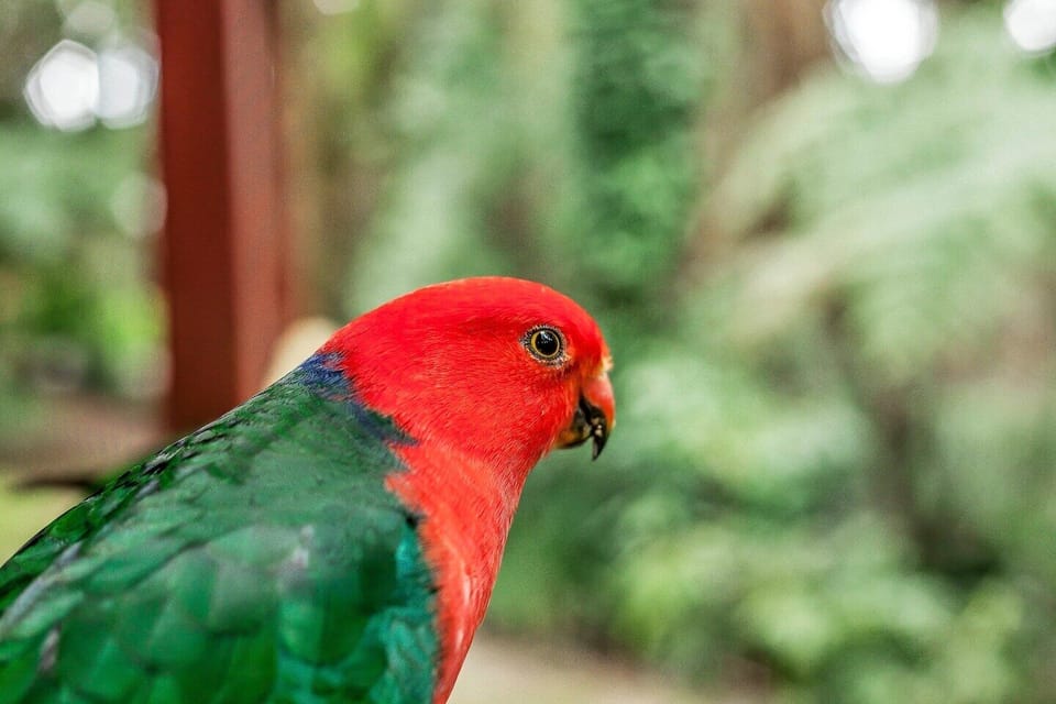 Get to know the locals
