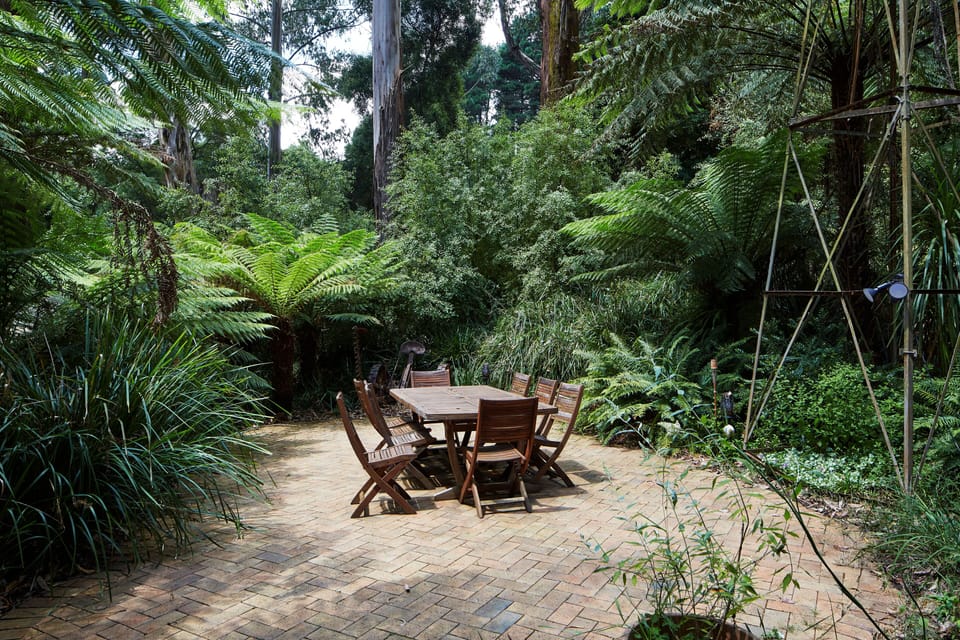 Get lost in the fern enclosed courtyard