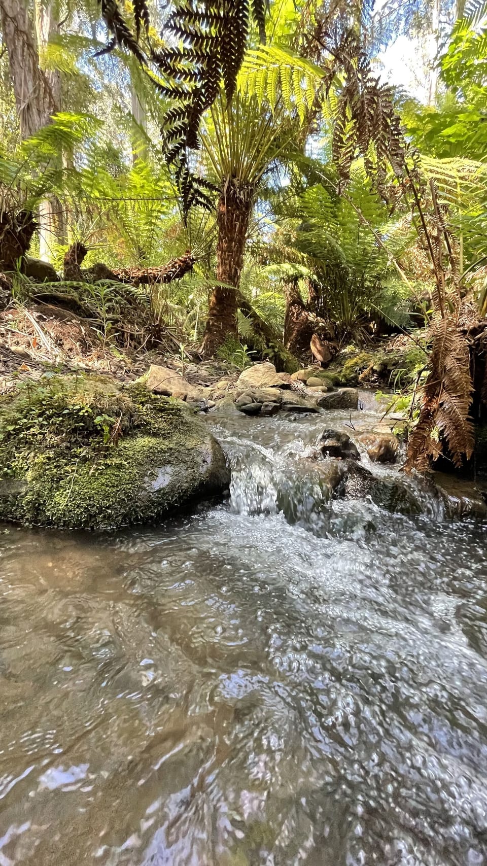 Enjoy the bubbling brook