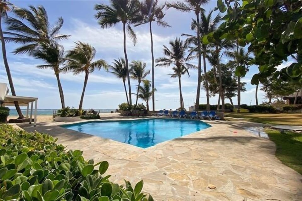 Beautiful beachfront swimming pool surrounded by palm trees and ocean breeze. Perfect for cooling off after the beach, relaxing under the sun, or enjoying peaceful afternoons steps from the sea. Right next to Mesa Tain Restaurant!