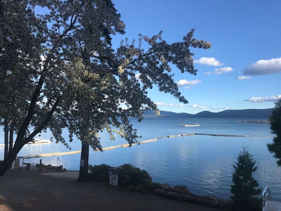 Cherry tree view from cabin 11 deck