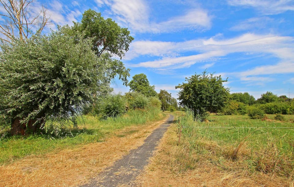 area