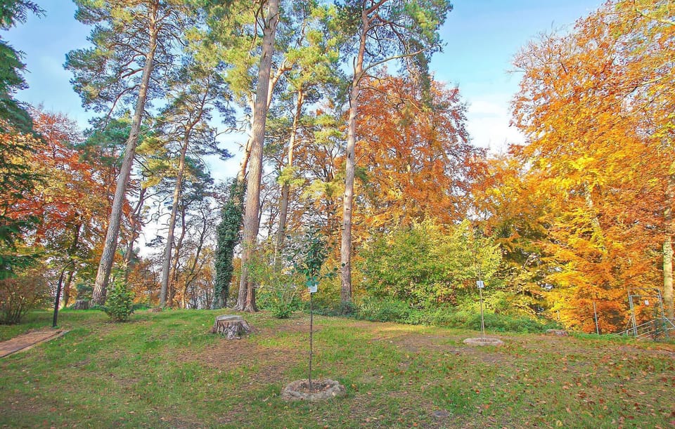 area