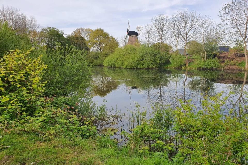 Surroundings [summer] (1-5 km)