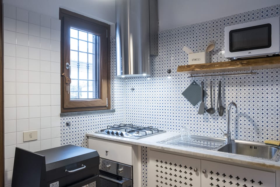 Deluxe Apartment | Private kitchen | Fridge, microwave, oven, electric kettle