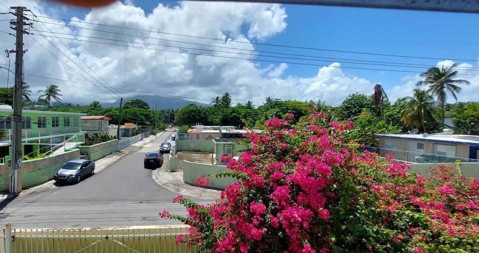 El Yunque  rain forest just below the clouds.  View from both bedrooms.
