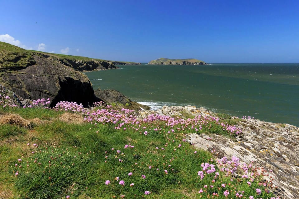 Ceredigion Coast