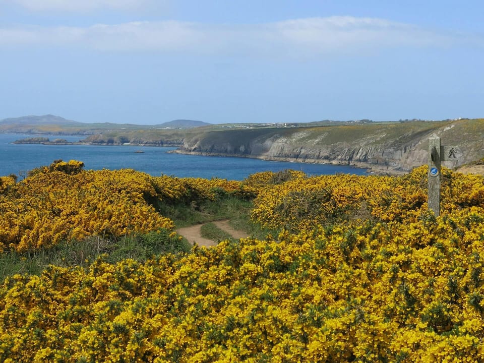Experience the local coastal path