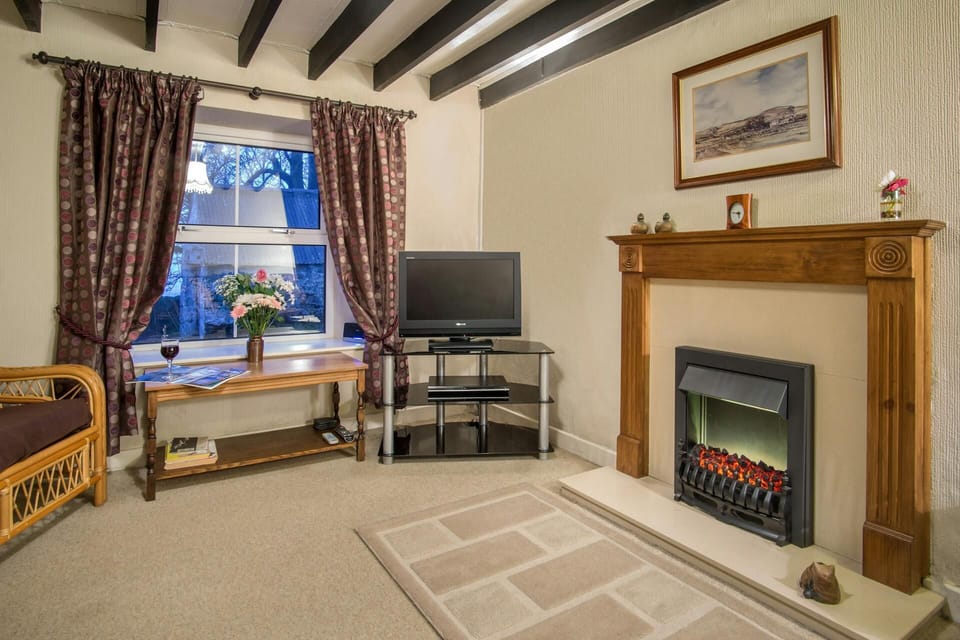 TV on stand, coffee table and an electric fire