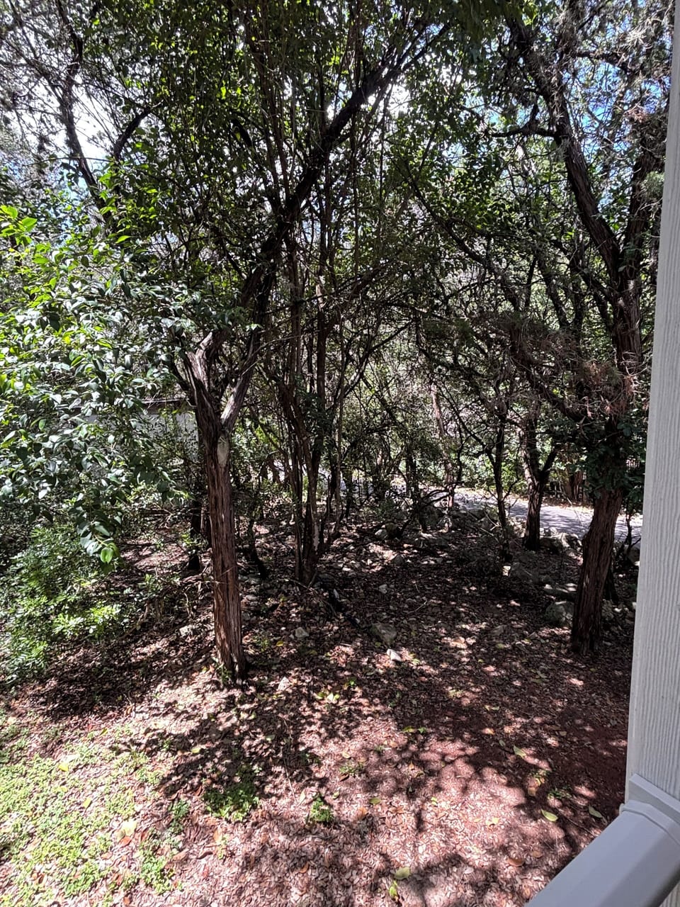 View from property