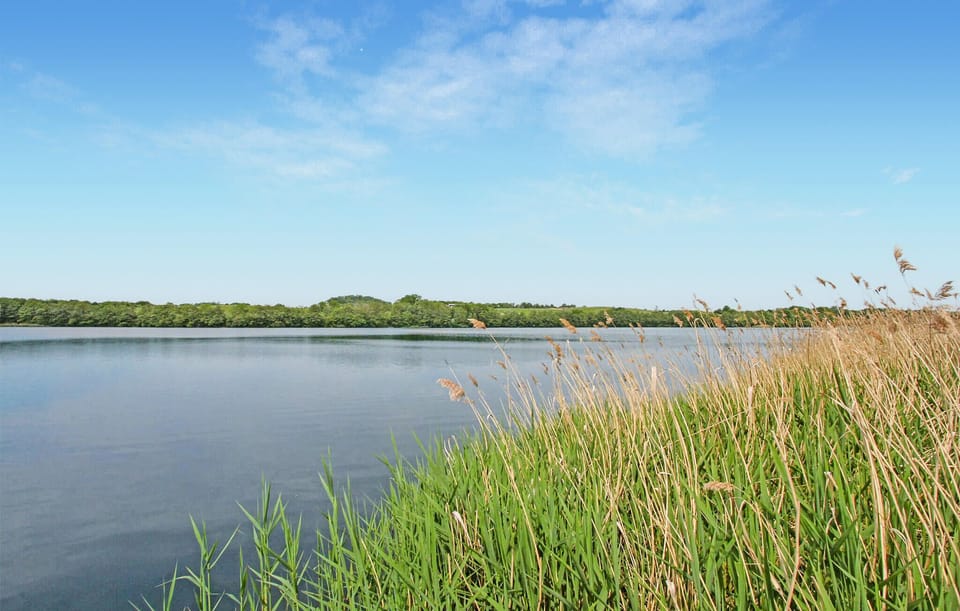 area