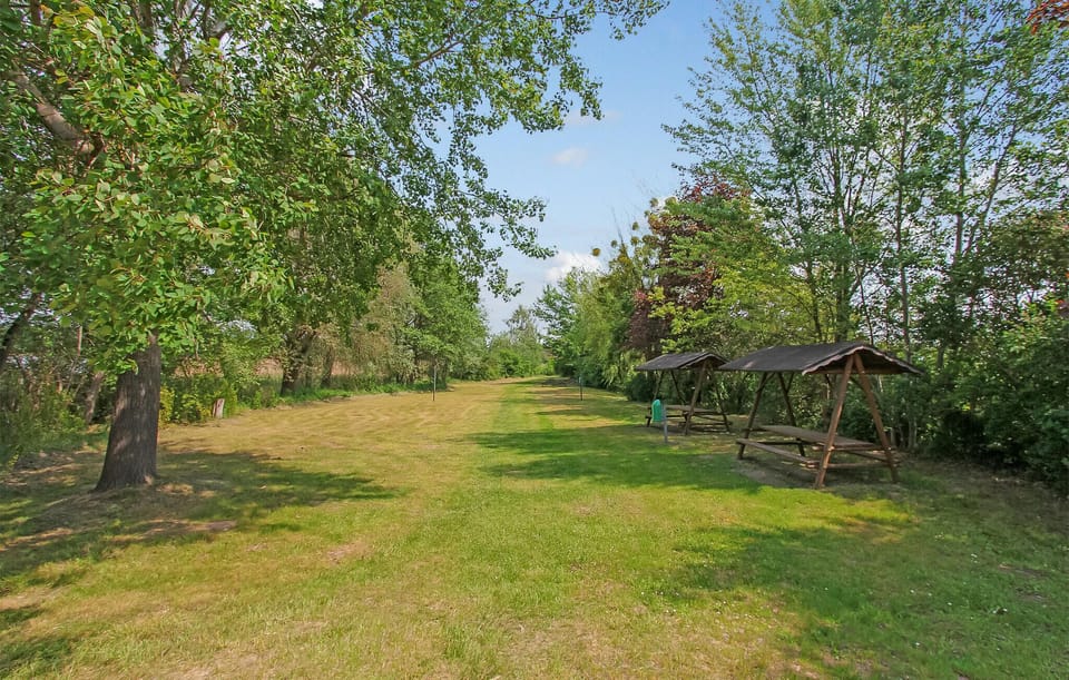 area