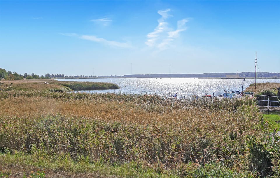 area