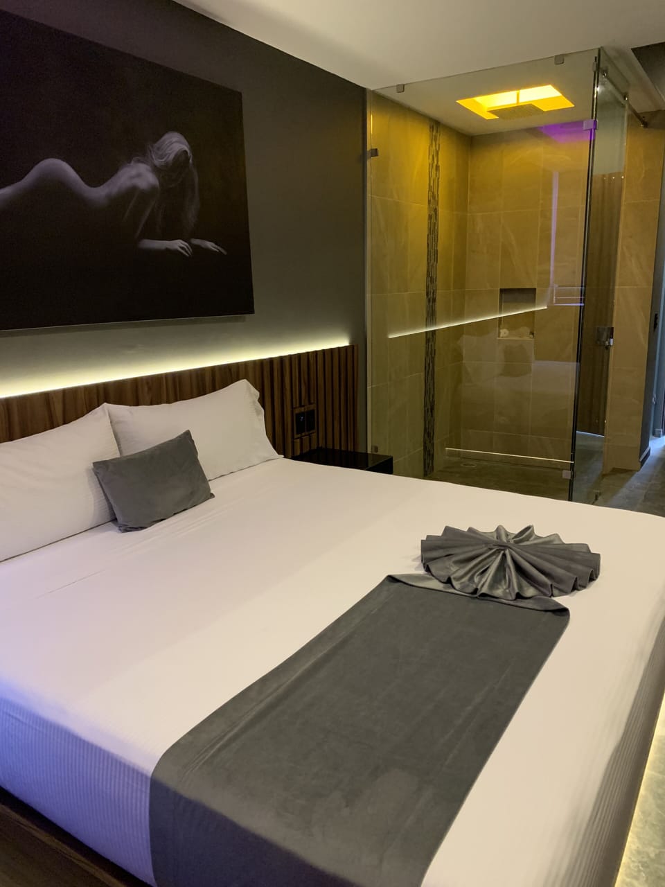 Basic Room, 1 King Bed | Free WiFi
