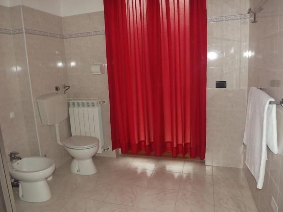Hair dryer, bidet