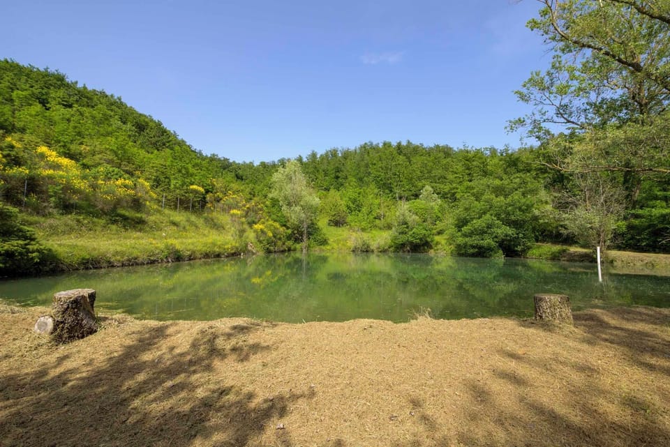 Lake view