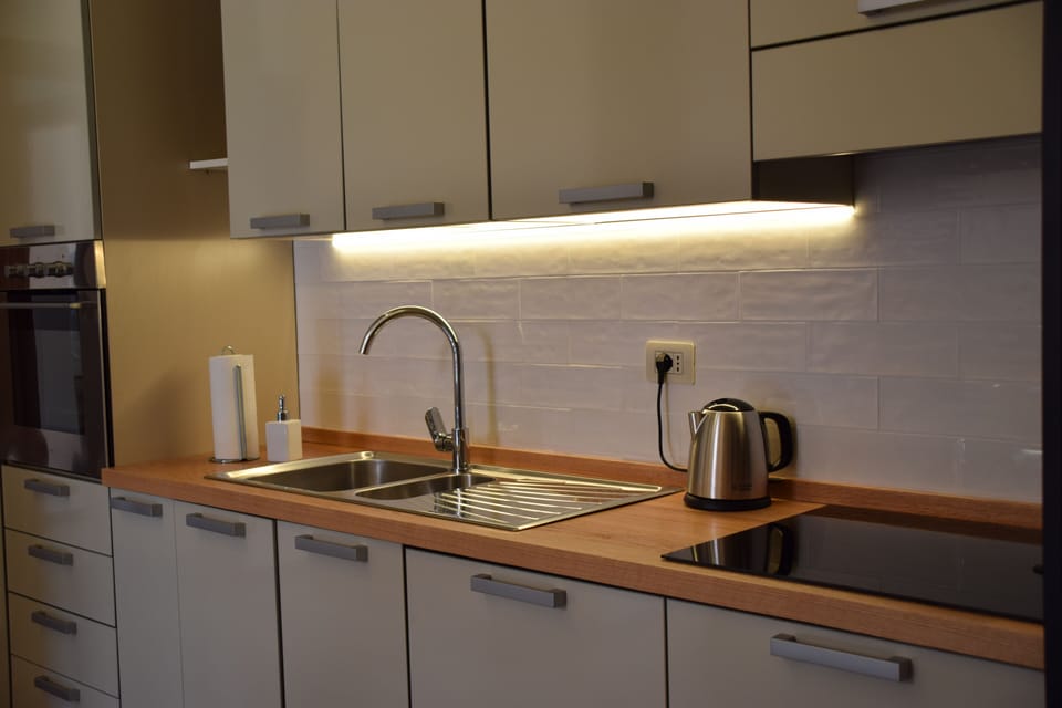 Deluxe Apartment | Private kitchen | Full-size fridge, microwave, oven, dishwasher