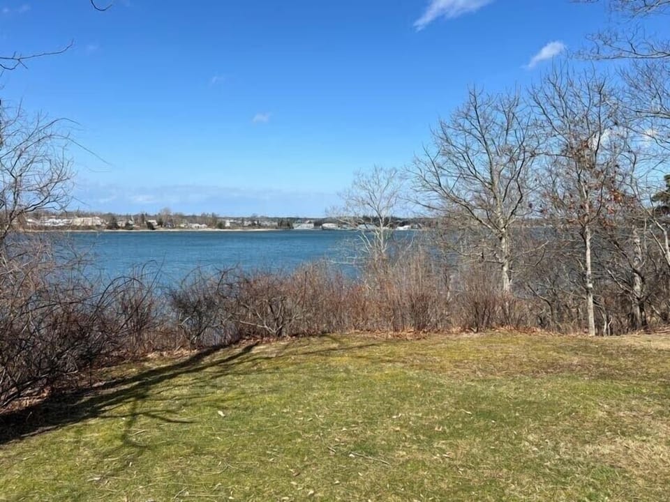 Large back yard for outdoor enjoyment