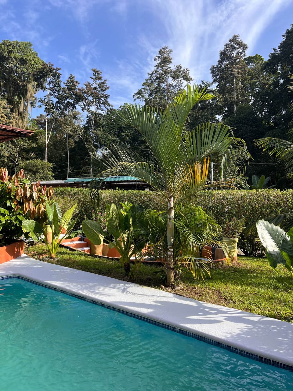 3 PoolFirepit