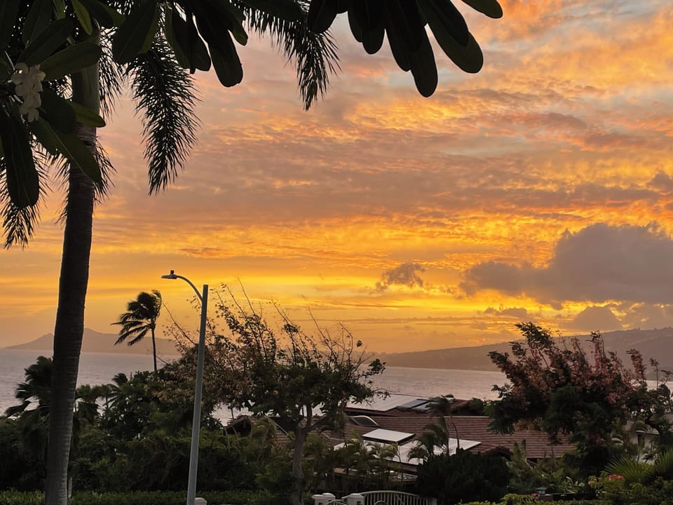View from property