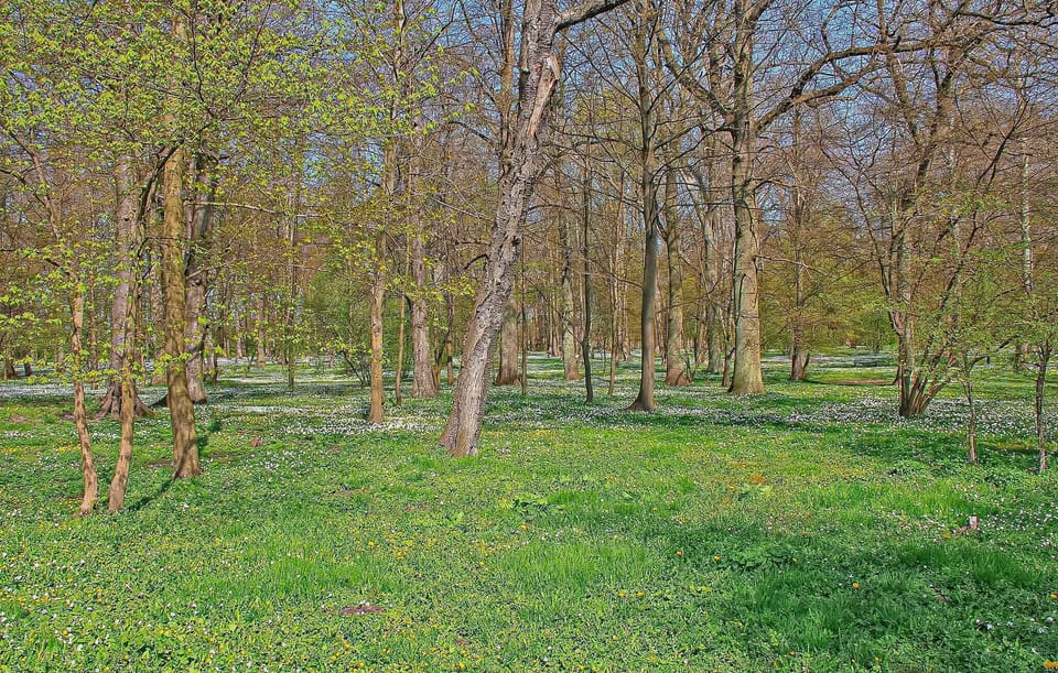 area