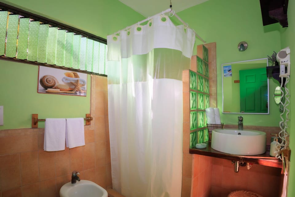 Standard Double Room | Bathroom | Shower, rainfall showerhead, hair dryer, bidet